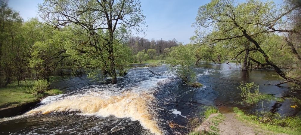 Photograph by Дарья Шевко