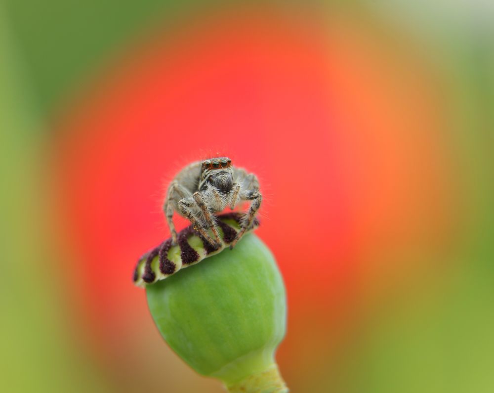 Photograph by Александр Шаварёв