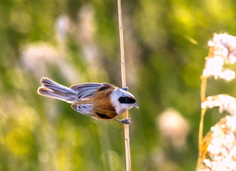 Photograph by Сиваков Алексей