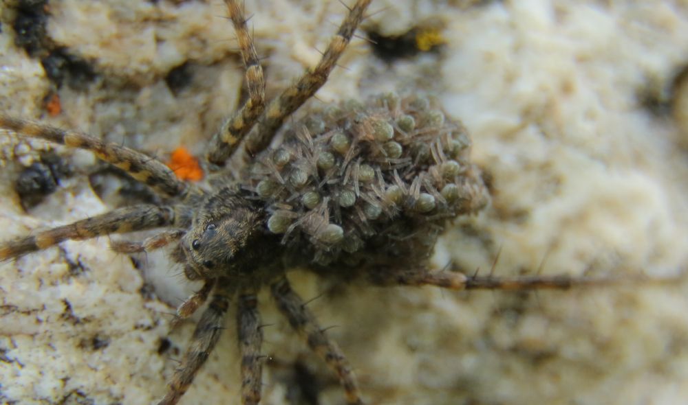 Photograph by Александр Шаварёв