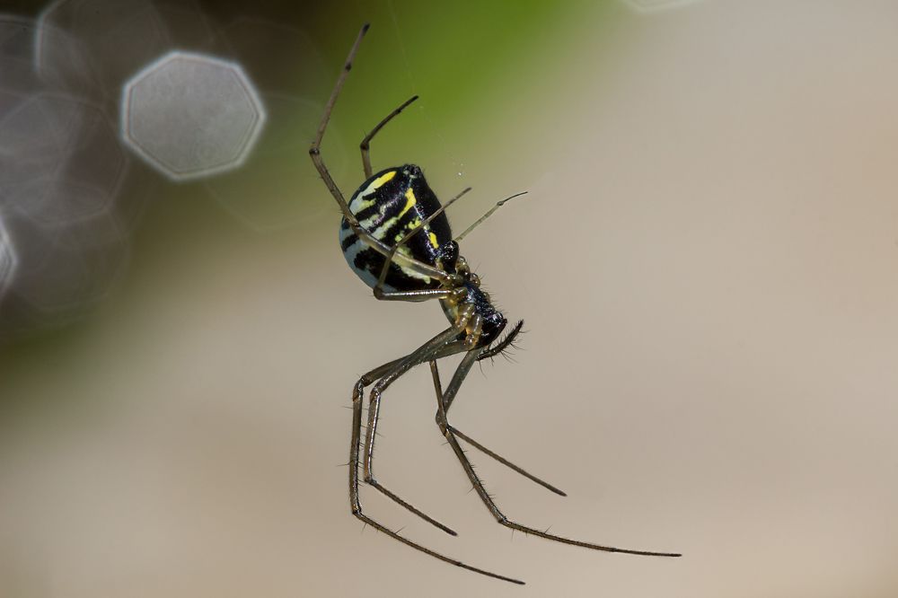 Photograph by Koledova Irina