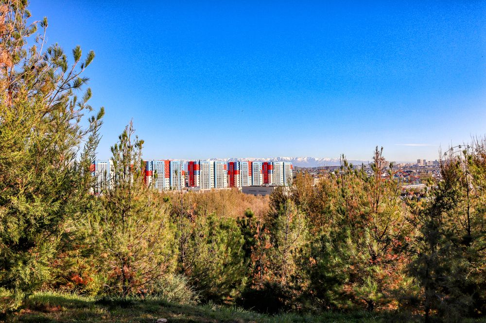 Photograph by ольга стаценко