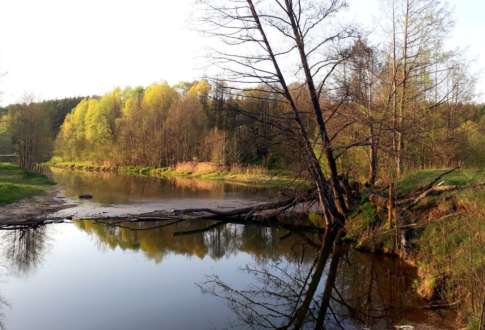 Photograph by Яна