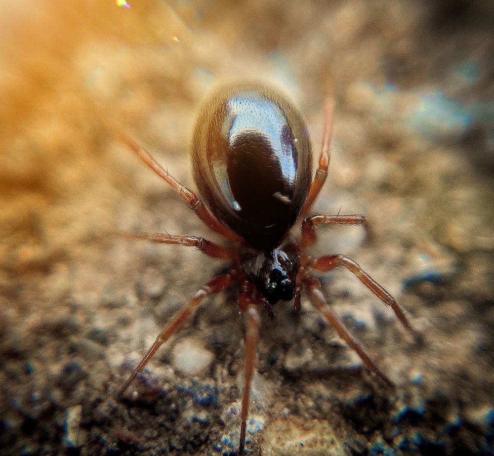 Photograph by Юлия Шустикова