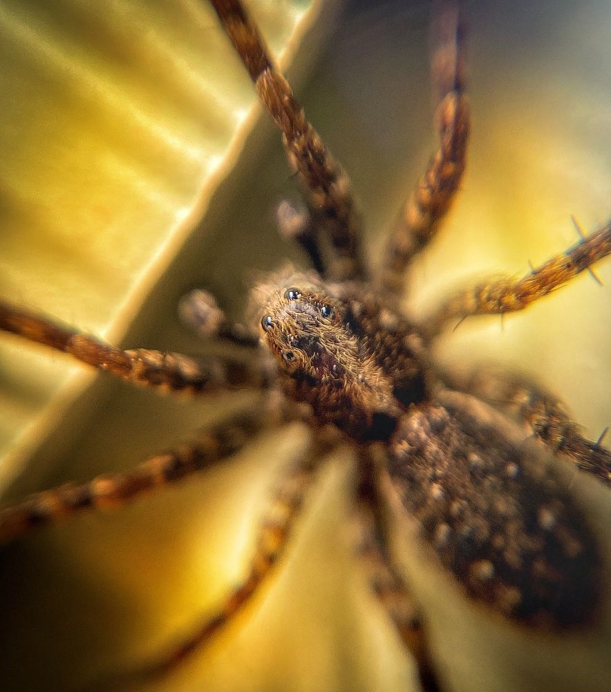 Photograph by Юлия Шустикова