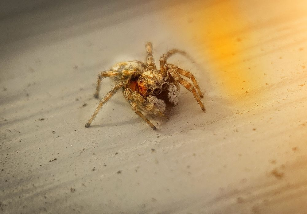 Photograph by Юлия Шустикова