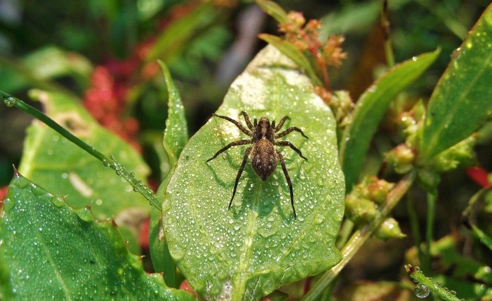 Photograph by Natasha Kim