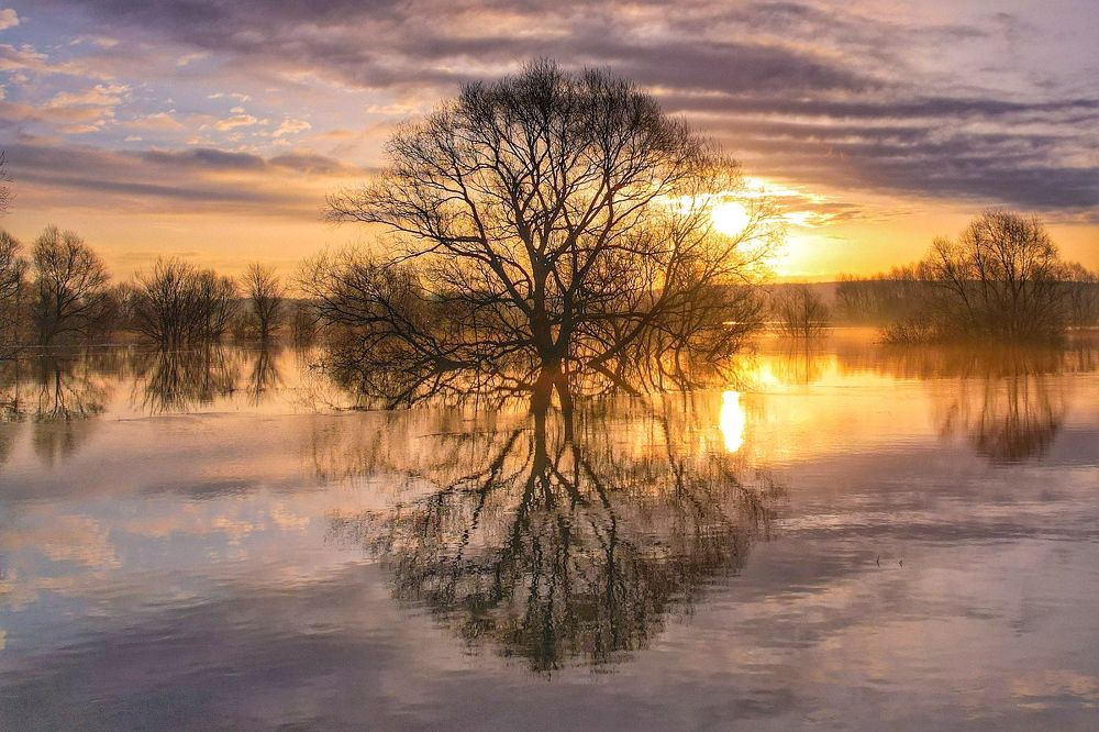 Photograph by Дмитрий Костяков