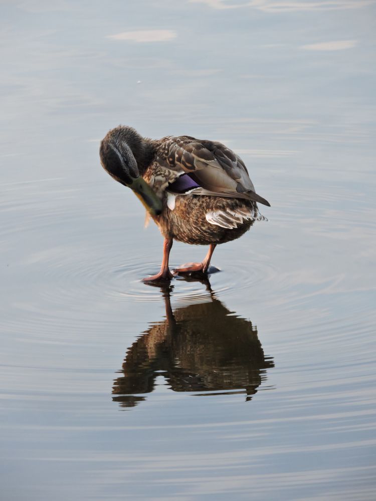 Photograph by Tatiana