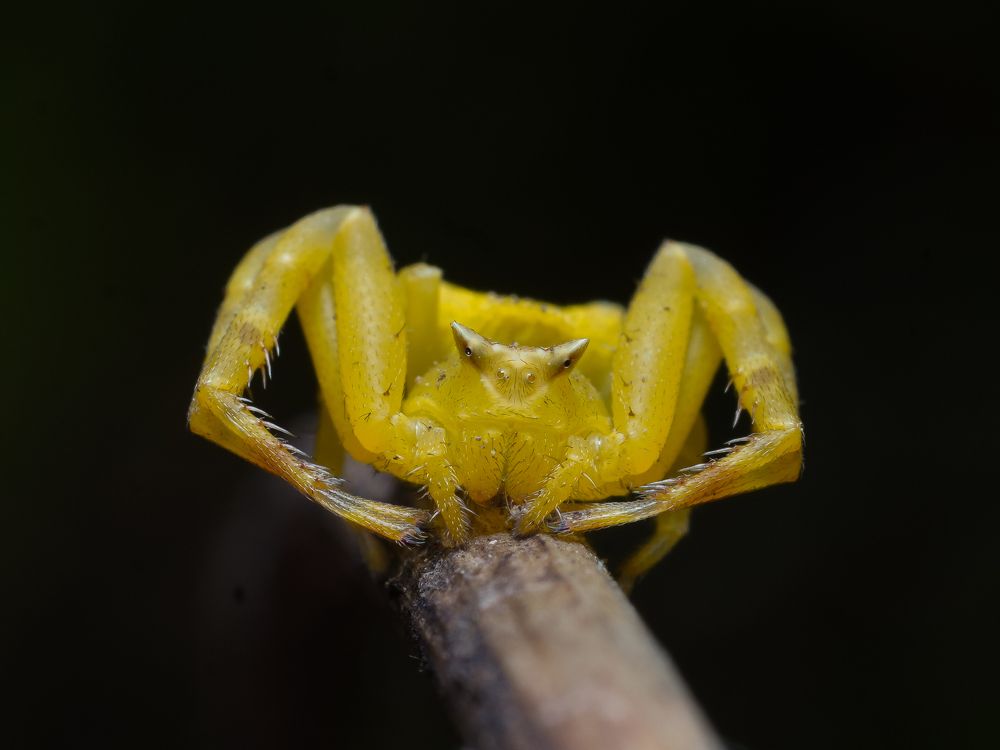 Фотография автора Bharat Ravat