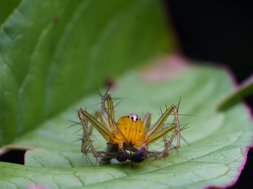 Фотография автора Bharat Ravat