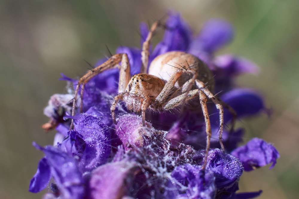 Photograph by Павел Сторчилов