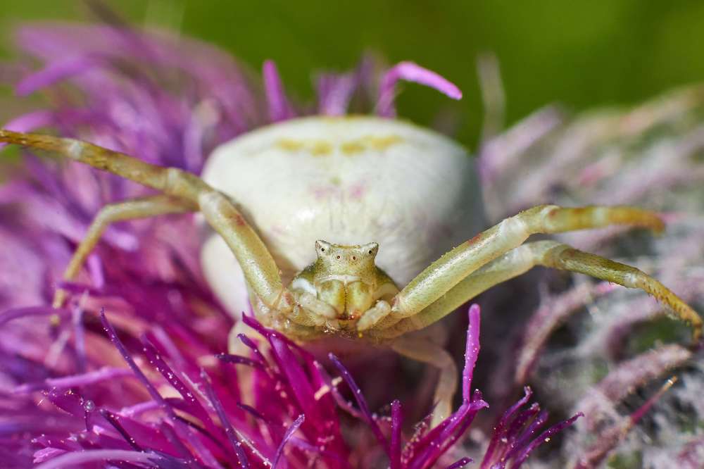 Photograph by Павел Сторчилов