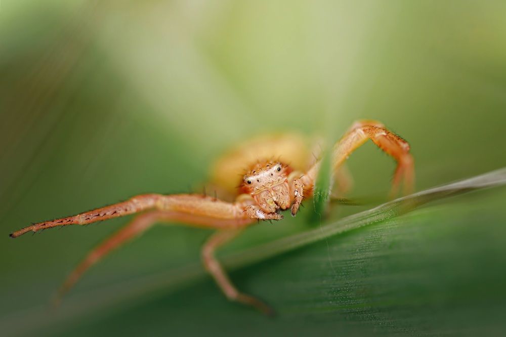 Фотография автора Summerlin