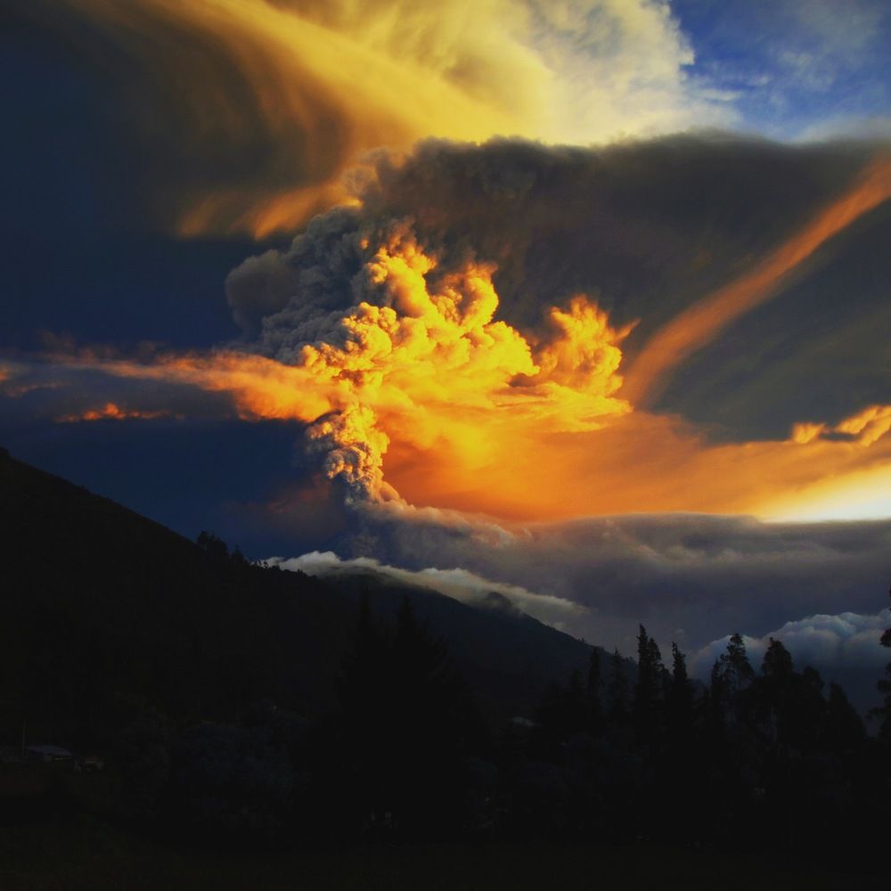 Photograph by Xavier Ponce