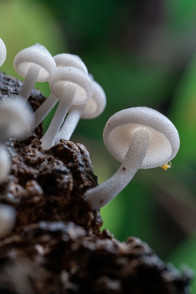 Photograph by Juchen Lin