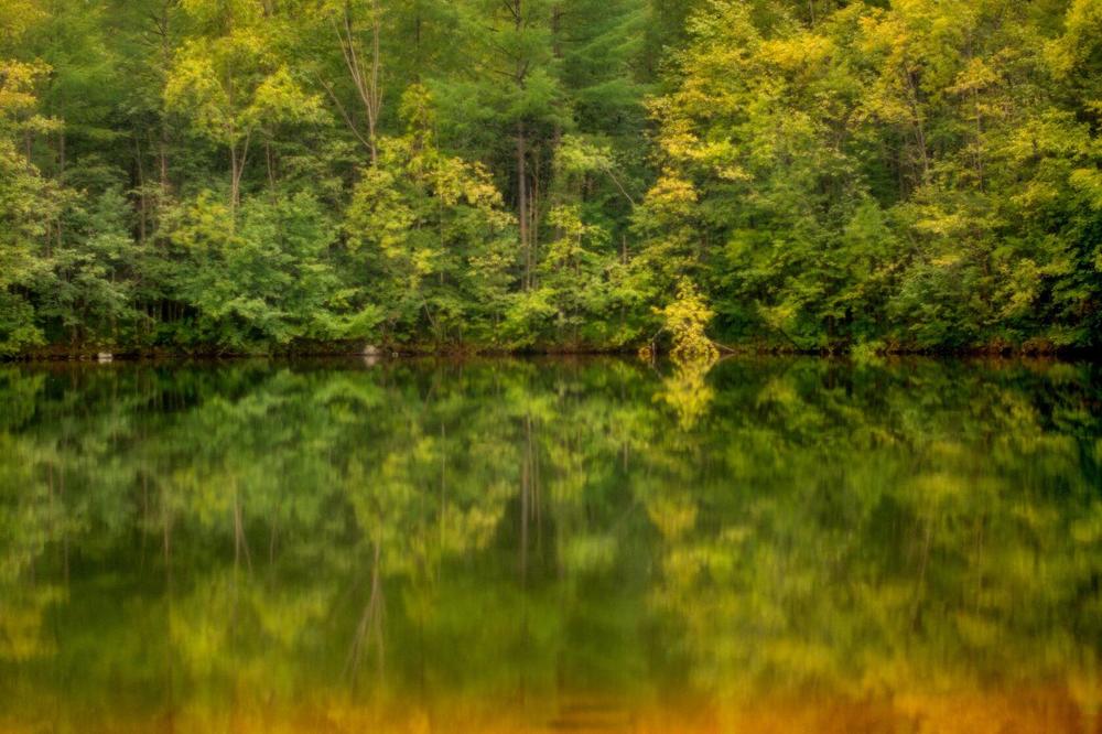 Photograph by Елена Ласун