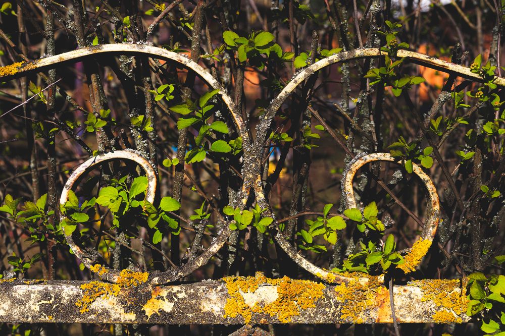 Фотография автора Ирина Гриценко