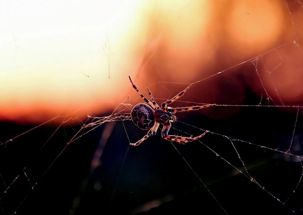 Фотография автора Александр
