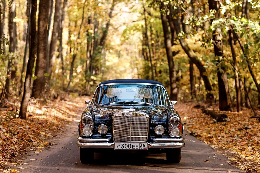 Фотография автора Ключников Виктор