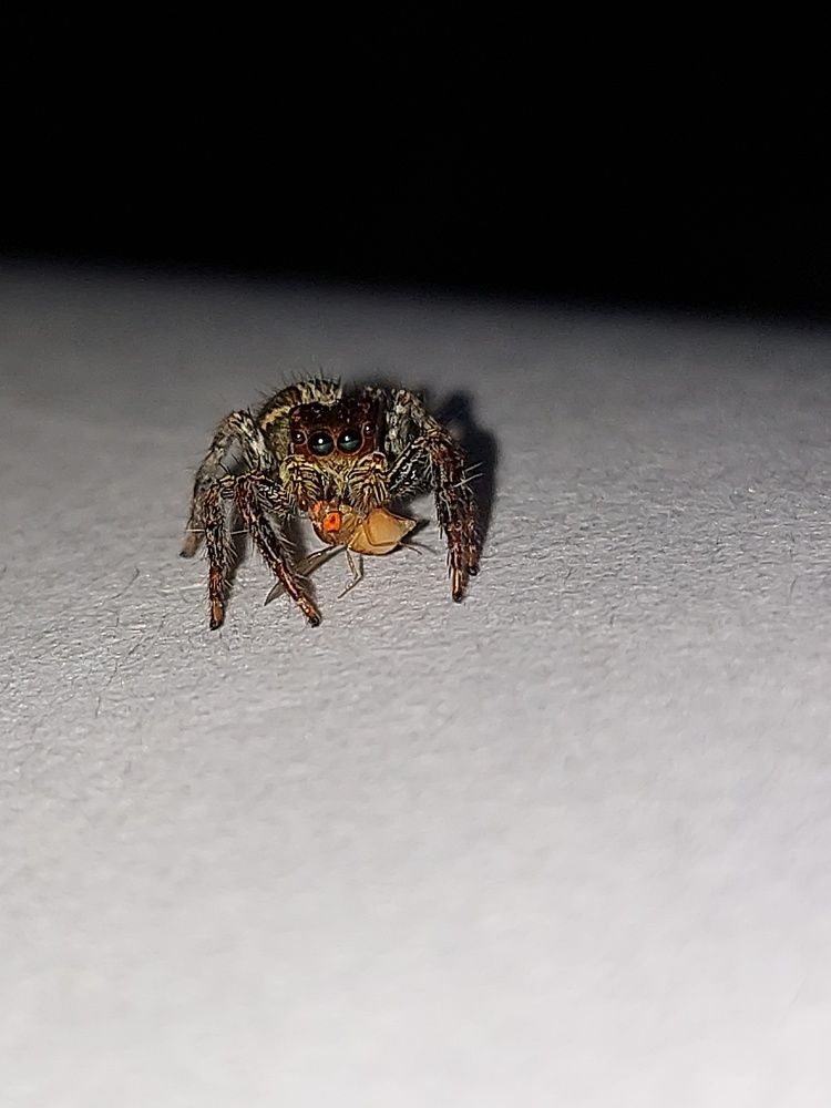 Photograph by Piyali Dutta