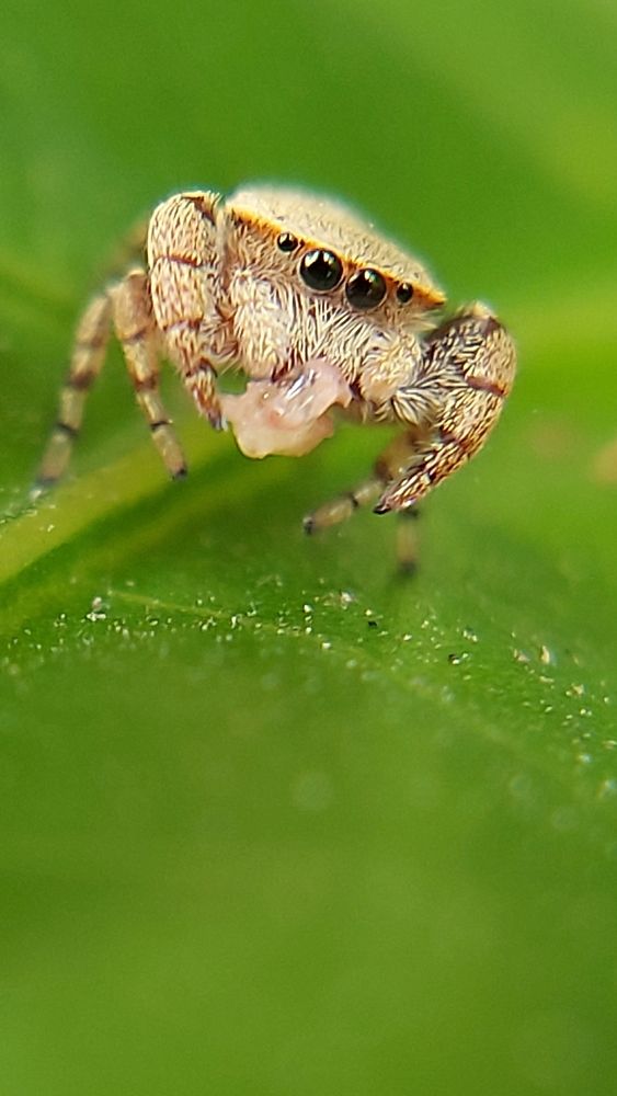 Photograph by Piyali Dutta