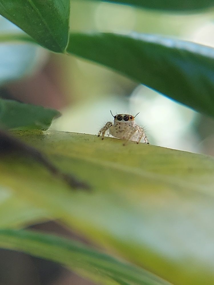 Photograph by Piyali Dutta