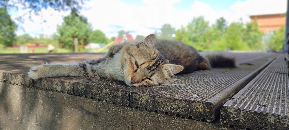Photograph by Григорий Полосин
