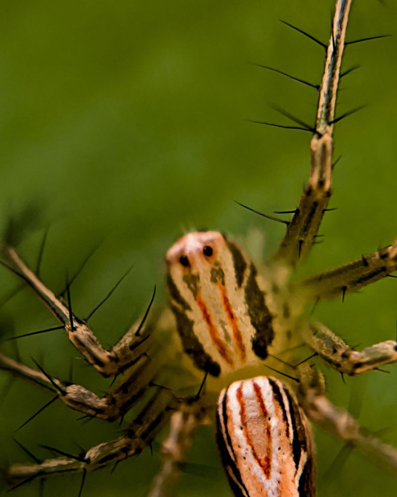 Photograph by Thusani Puvanendrarajah