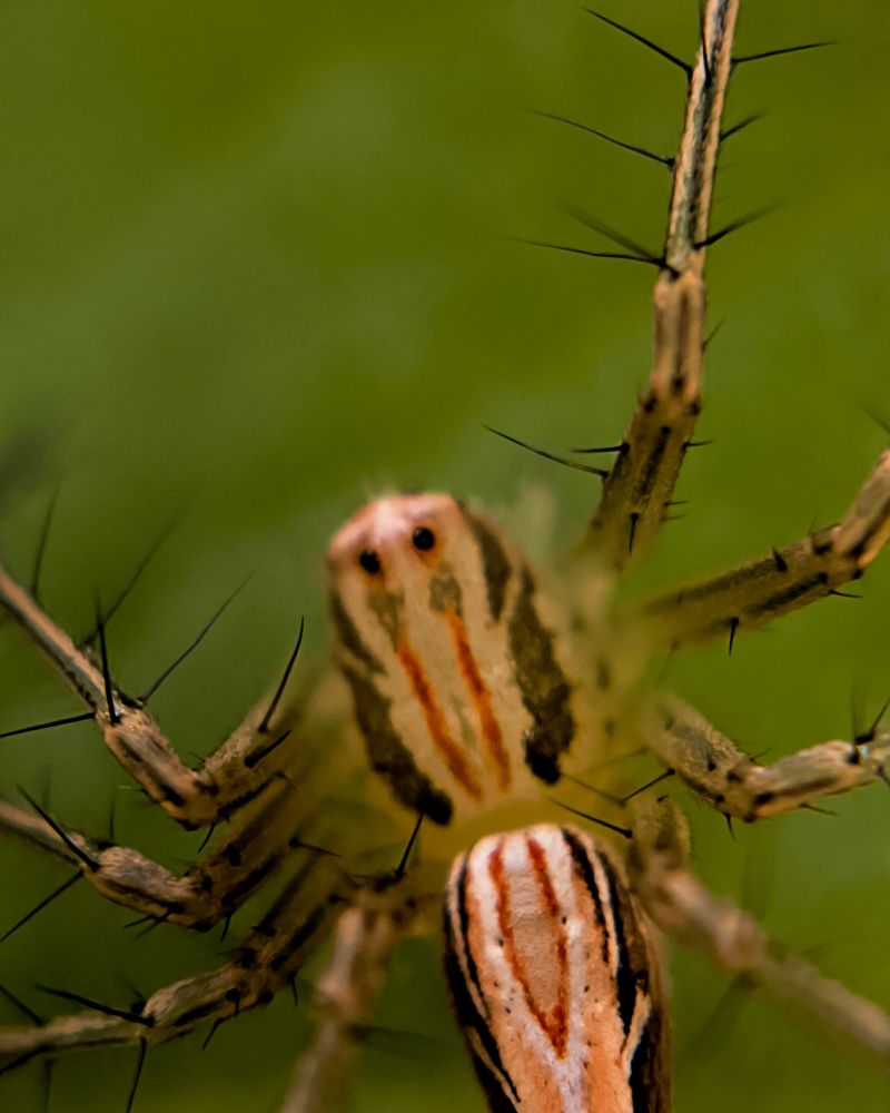Photograph by Thusani Puvanendrarajah