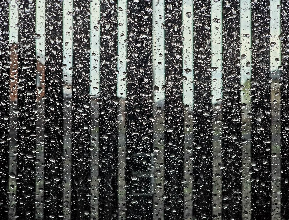 Photograph by Елена Сиушова