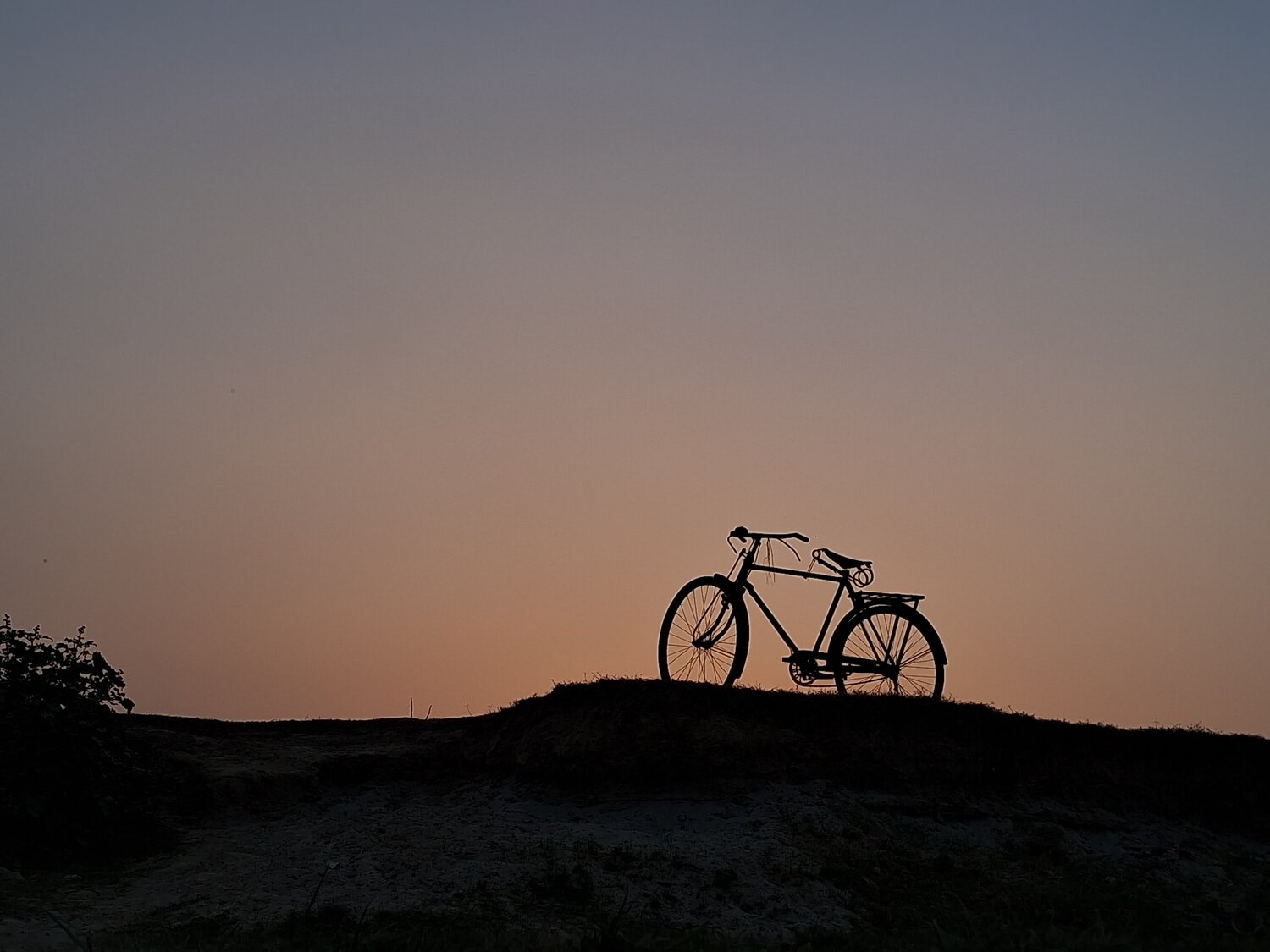 Photo #10555284
