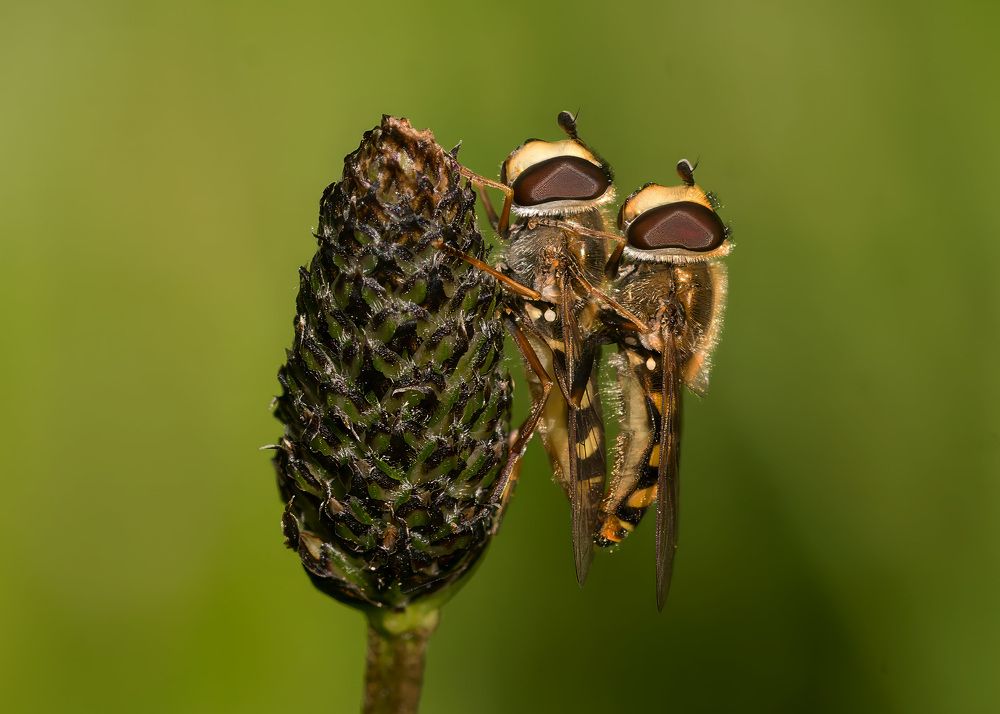 Photograph by wendy vanhoudt