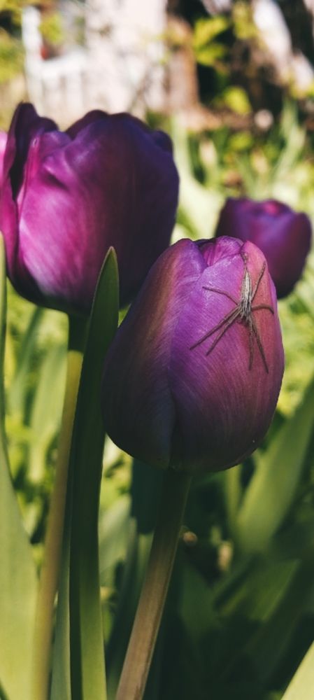 Photograph by Елена (Мори) Кузнецова