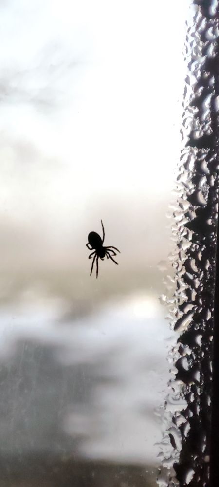 Photograph by Григорий Полосин