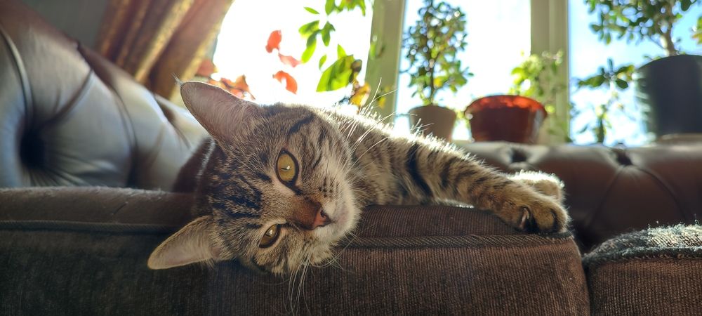 Photograph by Григорий Полосин