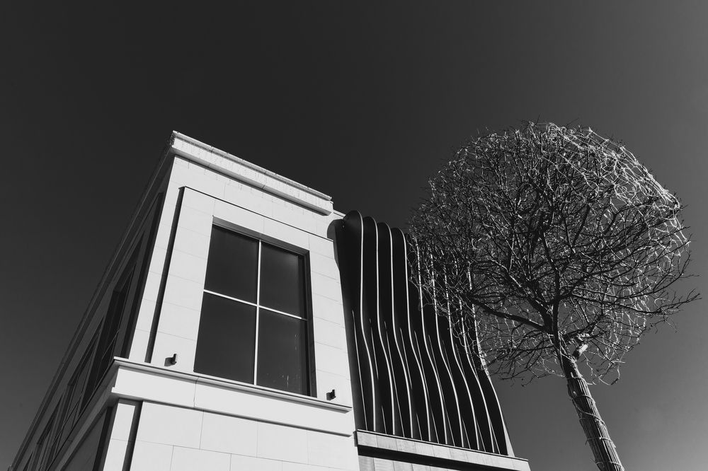 Photograph by Олёна Дроздова