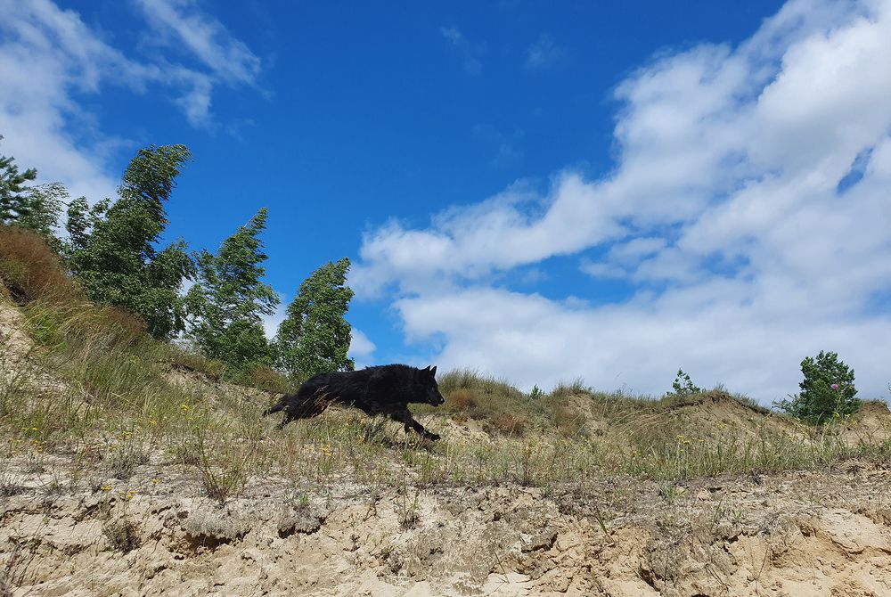 В единстве с природой