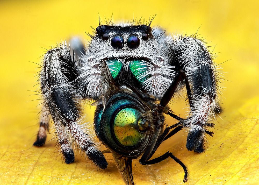 Photograph by Anh Nguyen