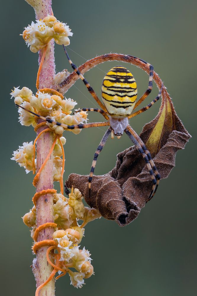 Photograph by Кузнецов Дмитрий