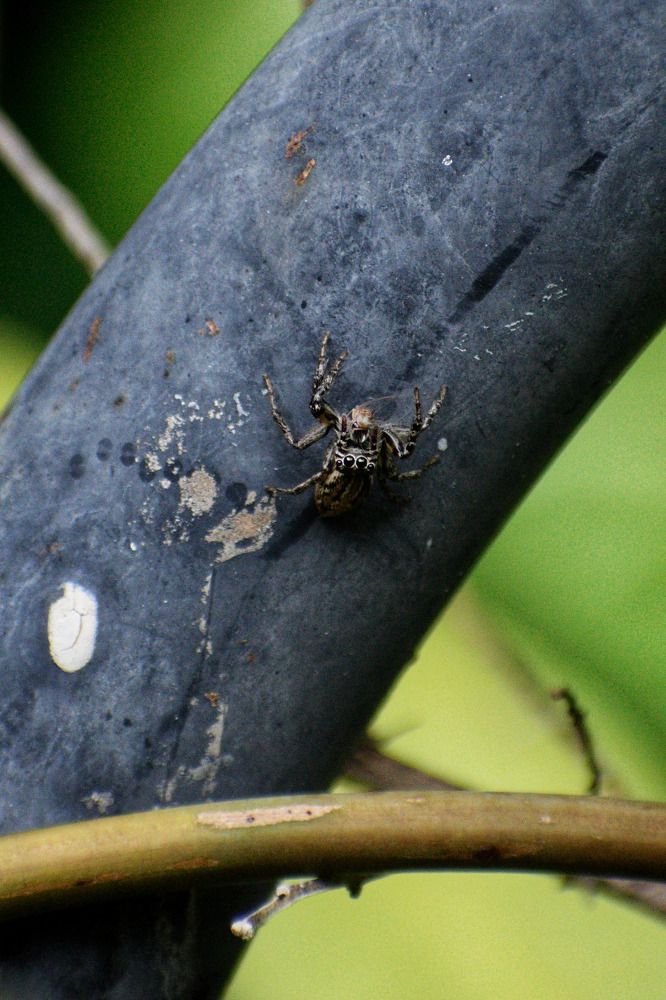 Photograph by Boulogne Mauricio Santiago