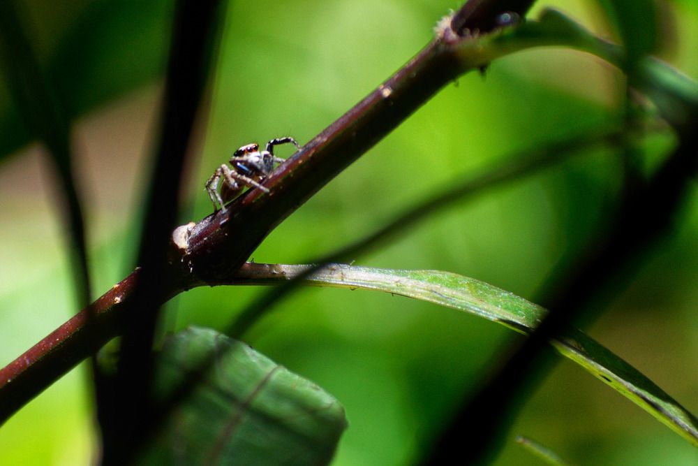 Photograph by Boulogne Mauricio Santiago