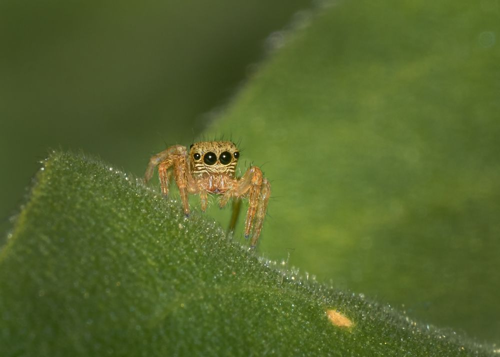 Photograph by saikat chanda