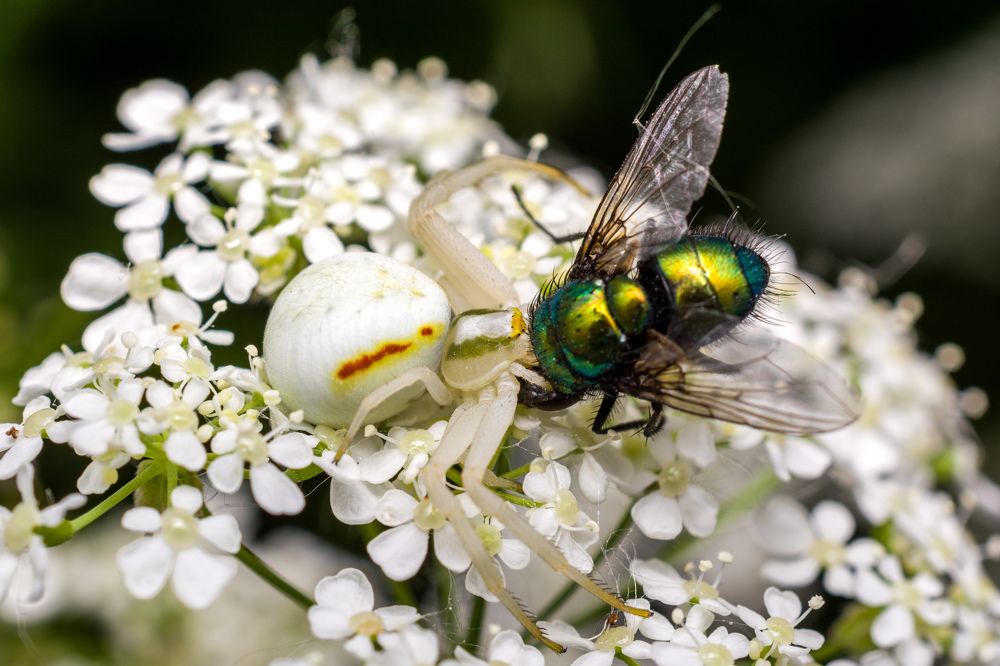Photograph by Николай Головко