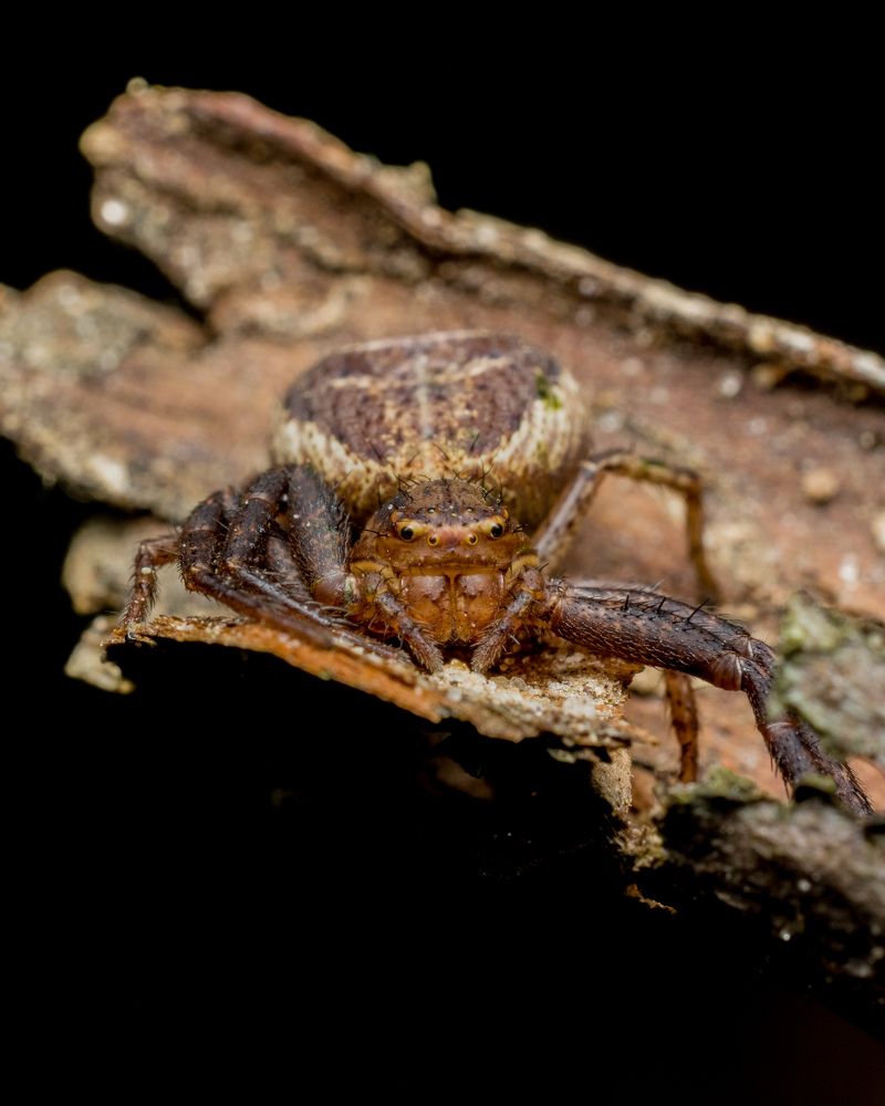 Photograph by Николай Головко