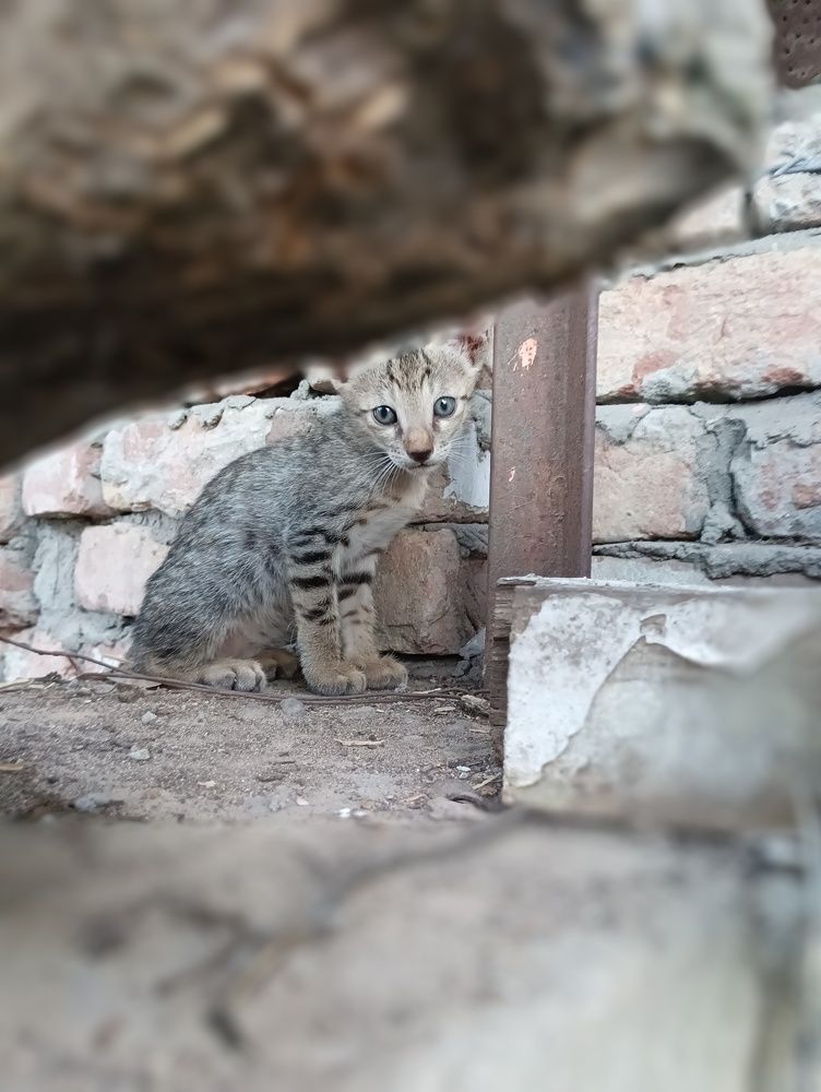 Photograph by Sumeet Kumar