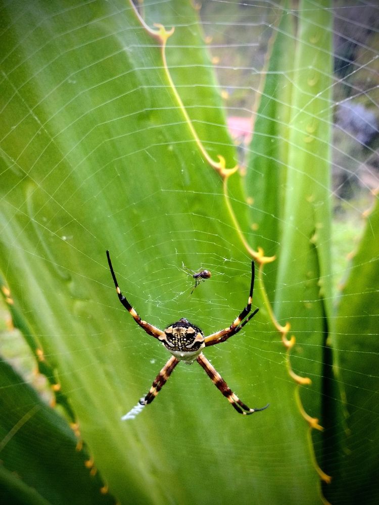 Photograph by GLEYDA GUTIÉREZ