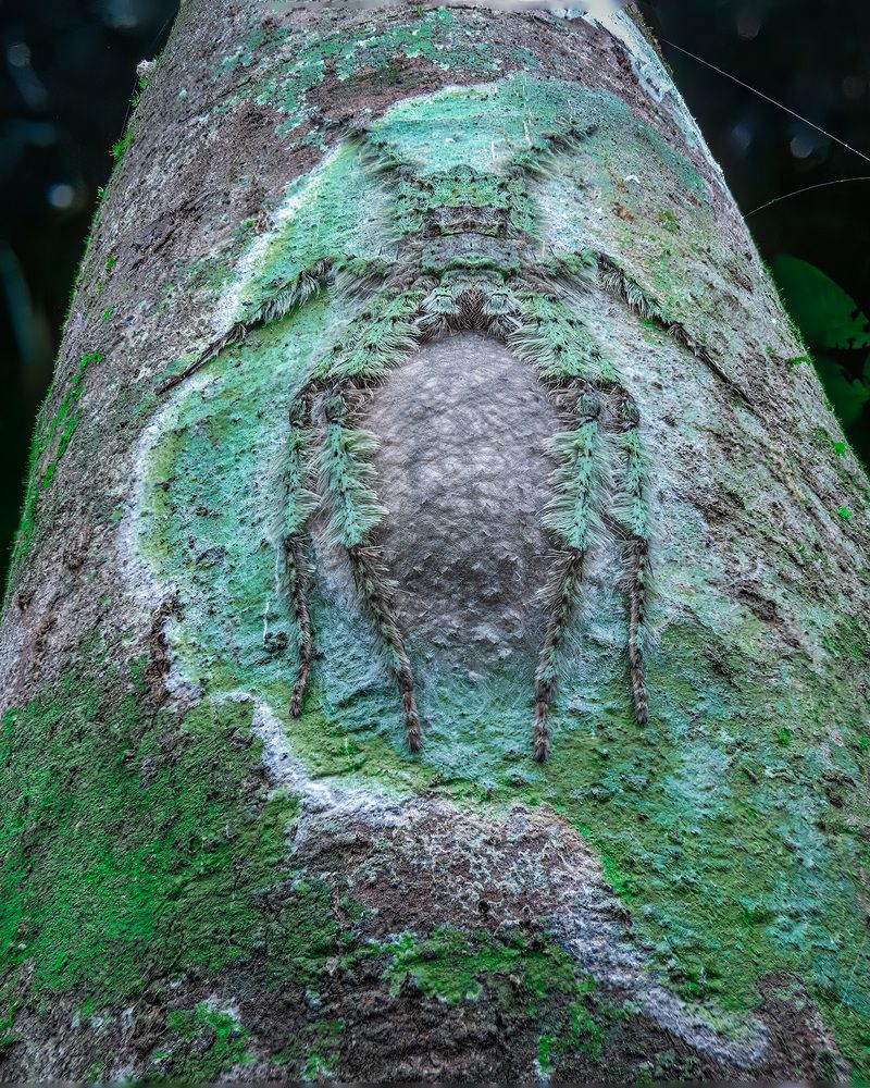 Photograph by ashok manjanath