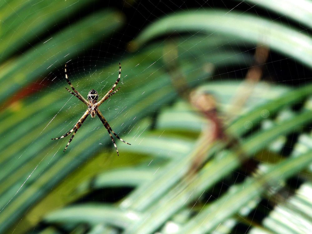 Photograph by GLEYDA GUTIÉREZ