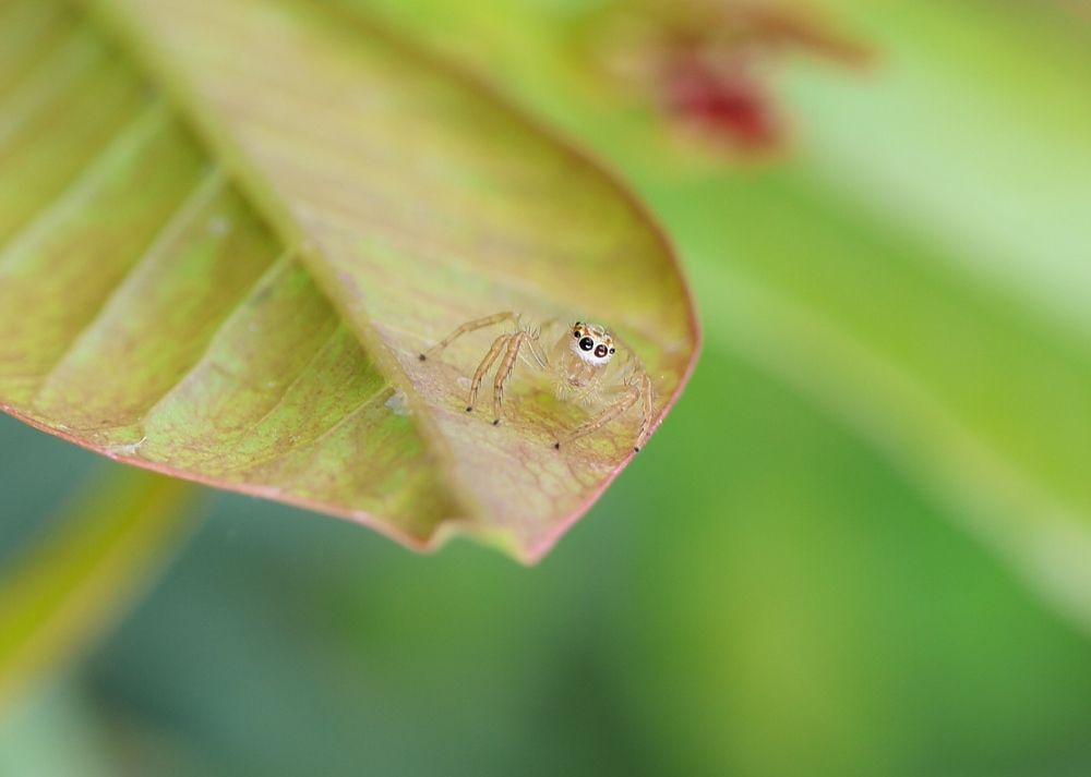 Photograph by Lakshya Sharma